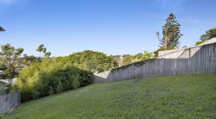 124 Latrobe Terrace Paddington , QLD 4064 