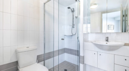 252/26 Felix St Brisbane City , QLD 4000 Australia