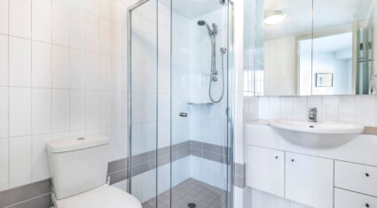 252/26 Felix St Brisbane City , QLD 4000 Australia