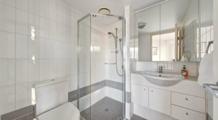 252/26 Felix St Brisbane City , QLD 4000 Australia